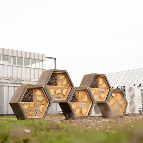 Insectenhotel op dak winkelcentrum Sterrenburg in Dordrecht