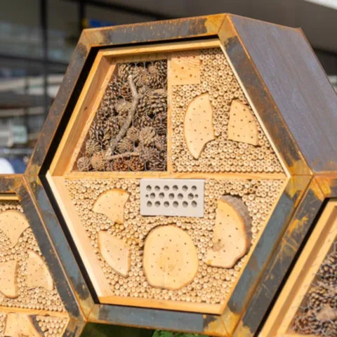Insectenhotel winkelcentrum Sterrenburg in Dordrecht