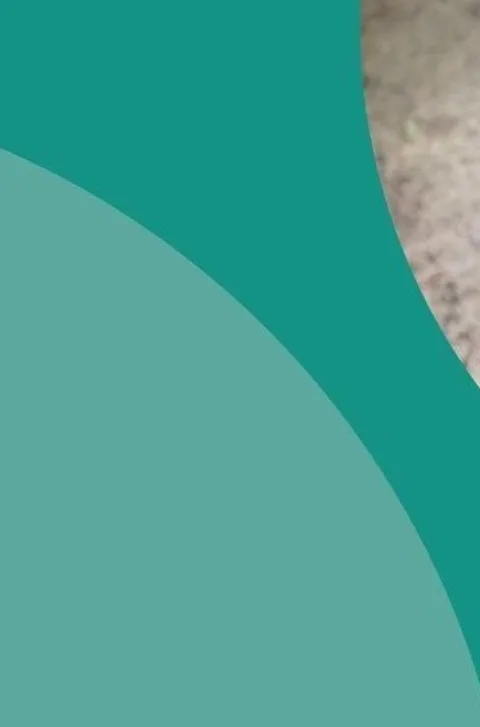 wh_nieuwsbrief_sliders_hero-2